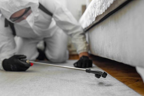 Professional Mosquito Control technician working in Austin County County, TX